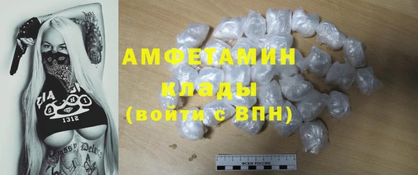 гидра Аркадак