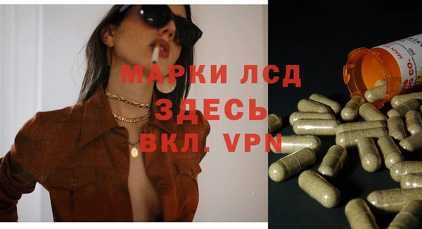 гидра Аркадак