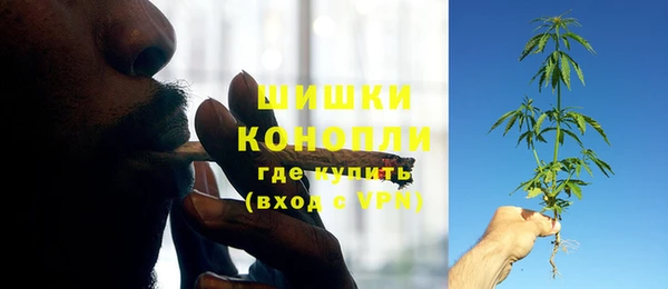 гидра Аркадак