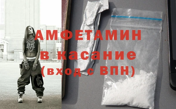 гидра Аркадак