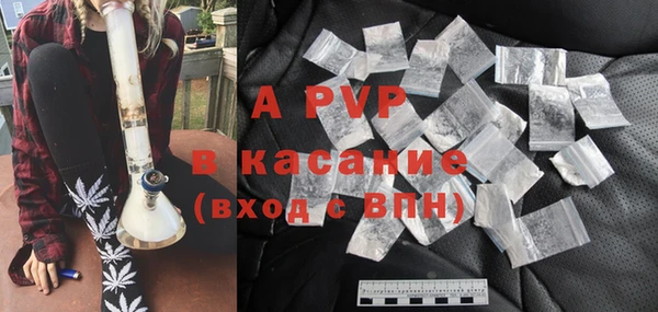 эйфоретик Арсеньев